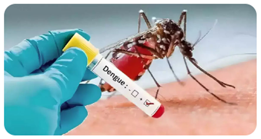 The number of dengue patients exceeds one thousand  